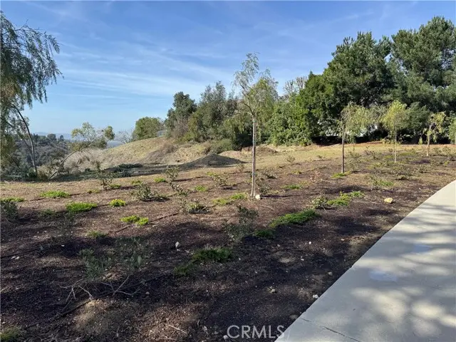 1562 calle cristina, San Dimas, CA 91773 - #1