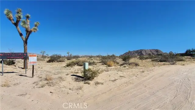 0 Landers, Landers, CA 92285 - #3