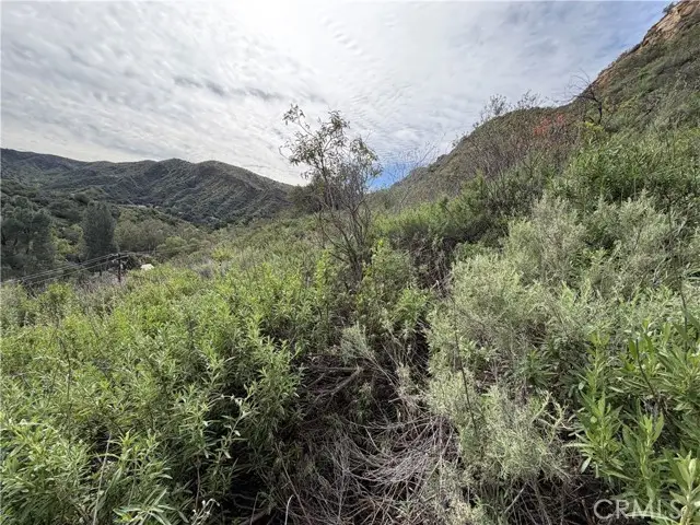 0 Ladd Canyon, Silverado, CA 92676 - #3