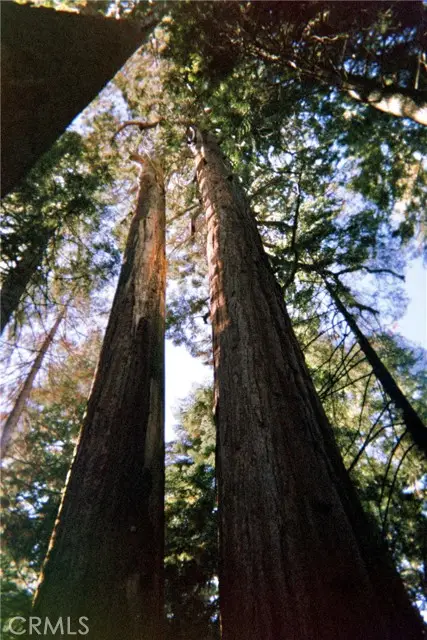 54584 Ponderosa Drive, Springville, CA 93265