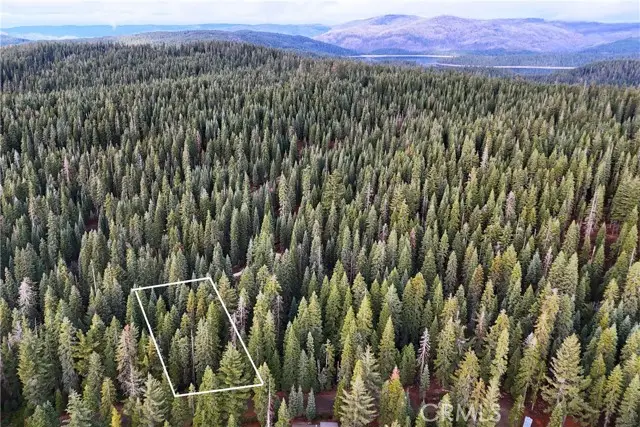 1100 Cleghorn Drive, Quincy, CA 95971 - #1