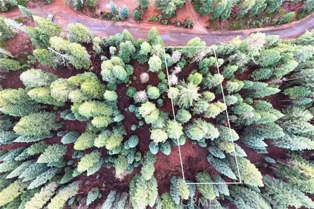 1100 Cleghorn Drive, Quincy, CA 95971 - #3