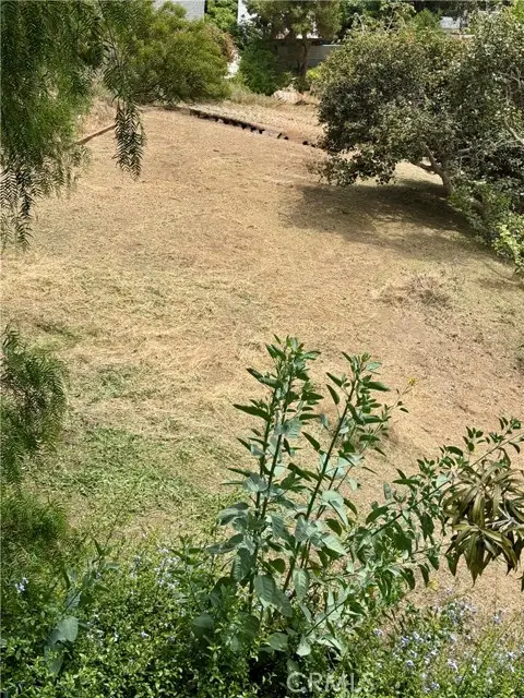 2106 Roselin, Los Angeles, CA 90039 - Image #3