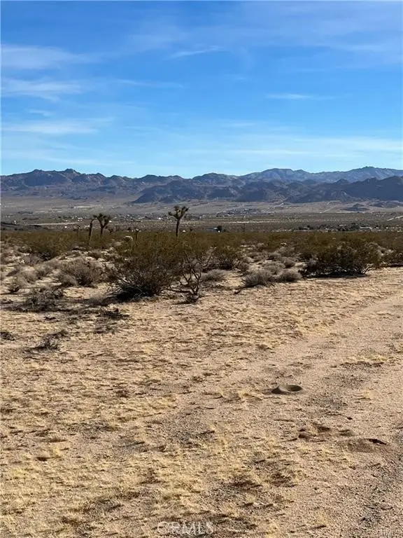 7 Bellflower Road, Joshua Tree, CA 92252 - #2