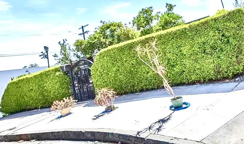 2949 Harcourt, Los Angeles, CA 90016 - #1