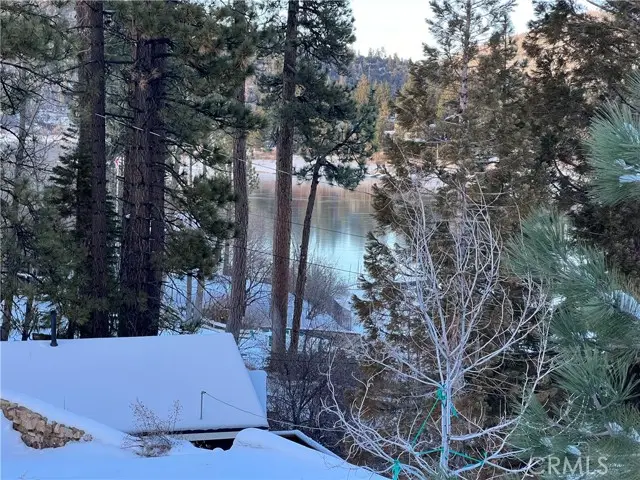 805 Cove Drive, Big Bear Lake, CA 92315 - #3