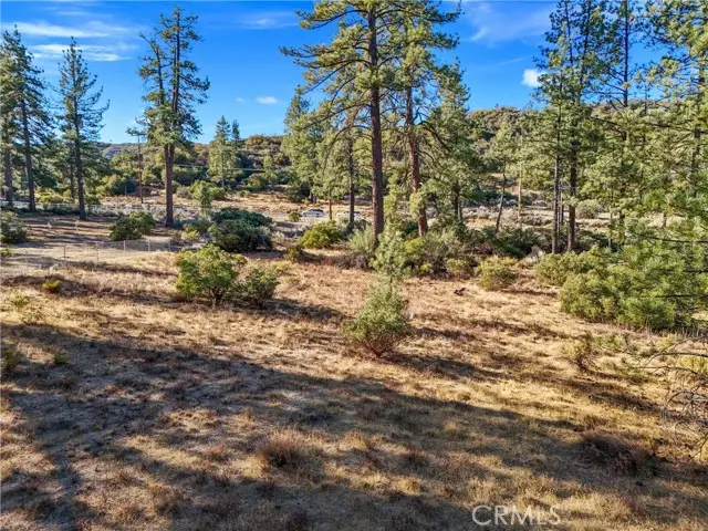 1 Pipe Creek Road, Mountain Center, CA 92561 - #1