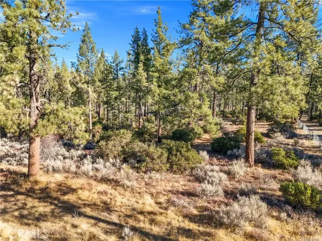 1 Pipe Creek Road, Mountain Center, CA 92561 - #2