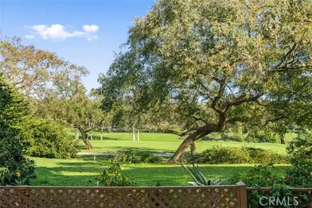 31232 Nine, Laguna Niguel, CA 92677 - #2