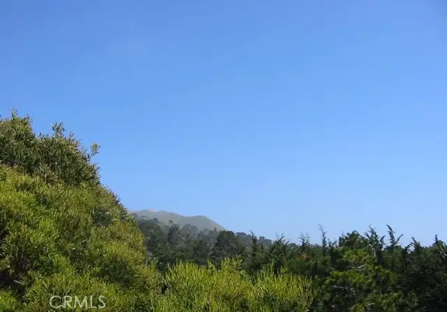 195 Spindrift Road, Carmel Highlands, CA 93923 - #2