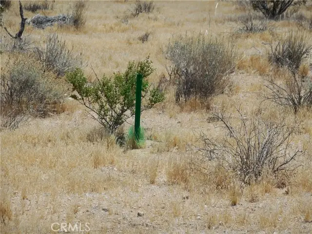 22000 Cattleman, Lucerne Valley, CA 92356 - #3