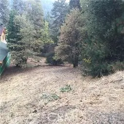 23795 Zuger, Crestline, CA 92325 - #1
