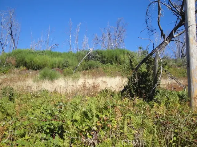 0 Meadow Lane, Berry Creek, CA 95916 - #3