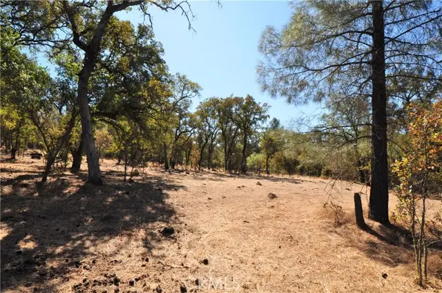 205 Cynthiann Lane, Oroville, CA 95966 - #3