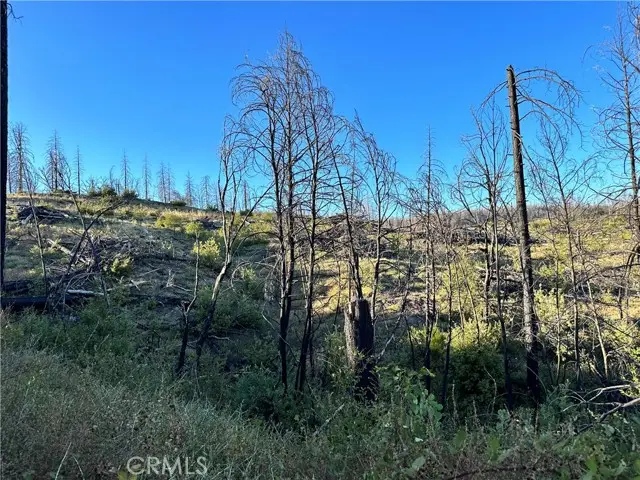 0 Seminole, Berry Creek, CA 95916 - #2