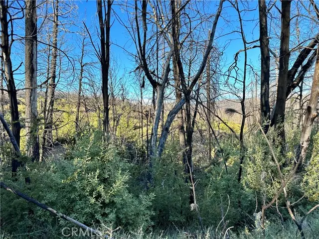 0 Seminole, Berry Creek, CA 95916 - #3