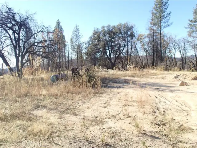 51 Horseshoe Trail, Berry Creek, CA 95916 - #2