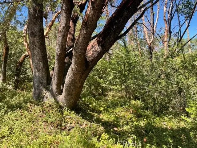 10 Broken Springs, Oroville, CA 95966 - Image #2