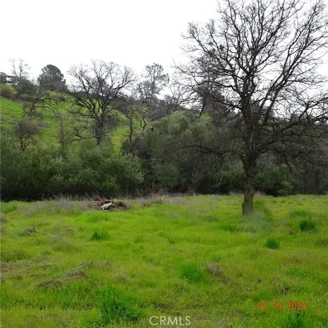 0 Long Bar, Oroville, CA 95966 - #3