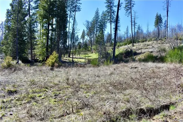 20 Meadow Lane, Berry Creek, CA 95916