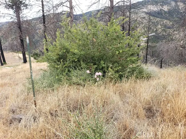 0 Bean Creek, Berry Creek, CA 95916 - #2