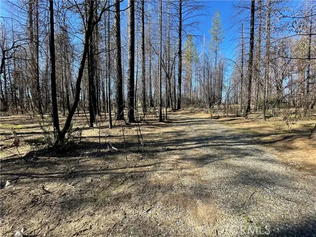 0 Shane Court, Berry Creek, CA 95916 - #3