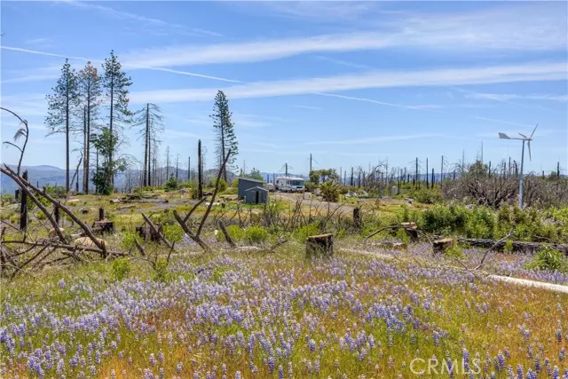 49 Indian Cemetery Road, Berry Creek, CA 95916 - #2
