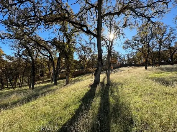 43 Alta Mira Lane, Oroville, CA 95966