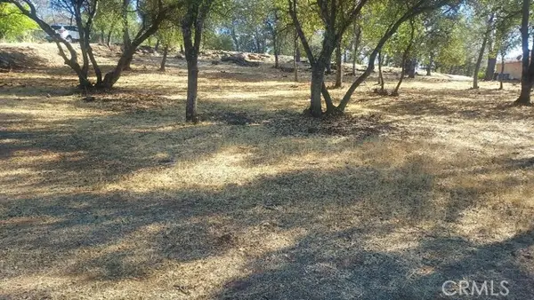 307 Lodgeview Drive, Oroville, CA 95966