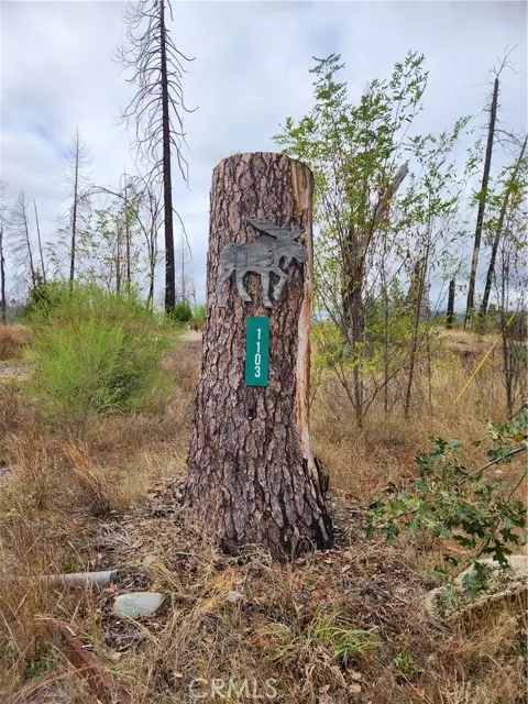 1103 Bald Rock Road, Berry Creek, CA 95916