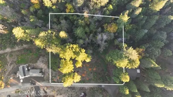 0 Path in the Woods, Berry Creek, CA 95916