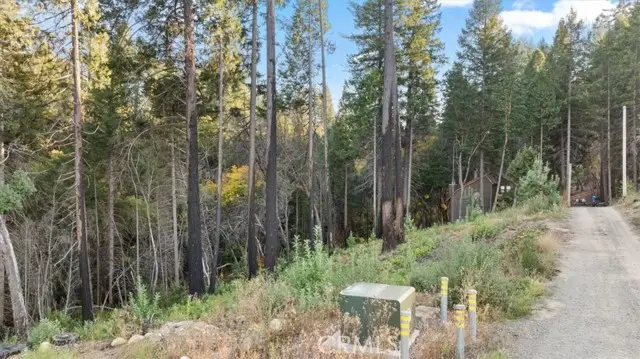 0 Path in the Woods, Berry Creek, CA 95916 - #2