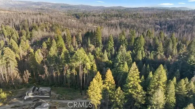 0 Path in the Woods, Berry Creek, CA 95916 - #3