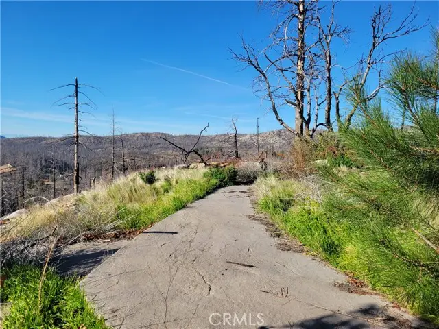 161 Shadow Creek Road, Berry Creek, CA 95916 - #2