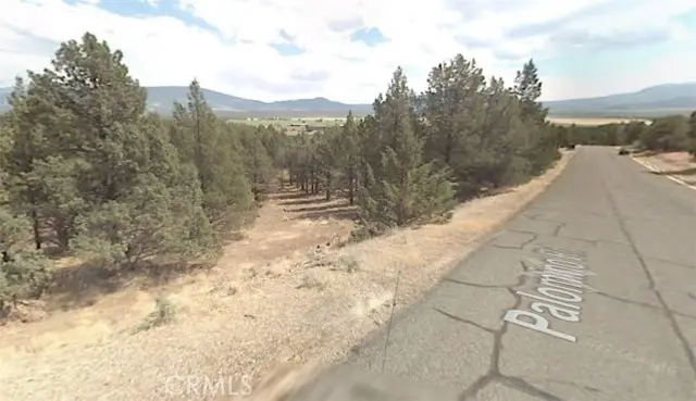 5115 Palomino Rd, Weed, CA 96094 - #3