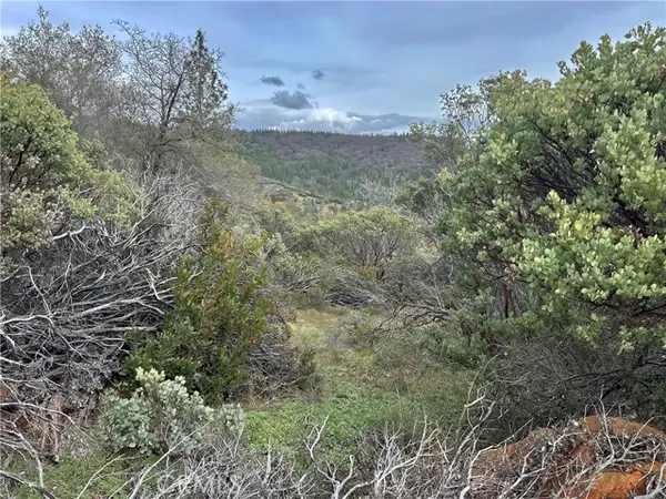 0 Top View Court, Oroville, CA 95966