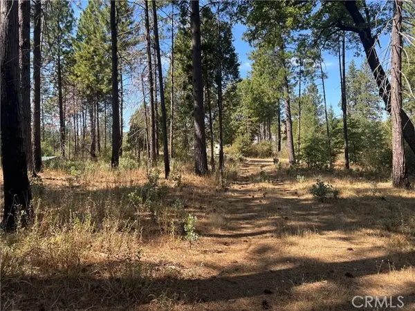 13477 Cirby Creek Road, Oroville, CA 95965