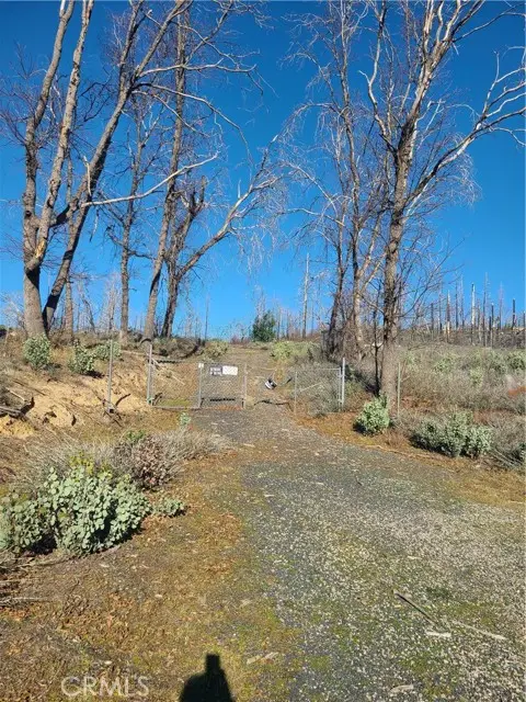 81 Green Cedar, Berry Creek, CA 95916