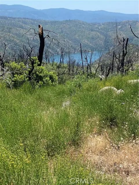 315 Harrison Springs, Berry Creek, CA 95916 - #2