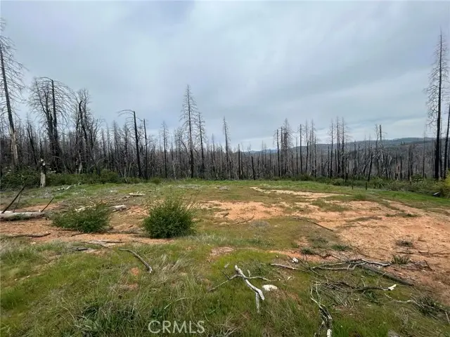 83 Oak Tree Lane, Berry Creek, CA 95916 - #1