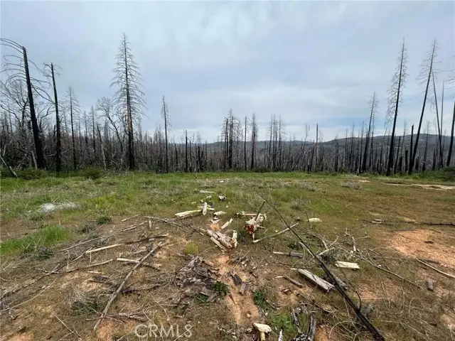 83 Oak Tree Lane, Berry Creek, CA 95916 - #2