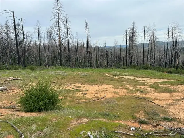 83 Oak Tree Lane, Berry Creek, CA 95916 - #3