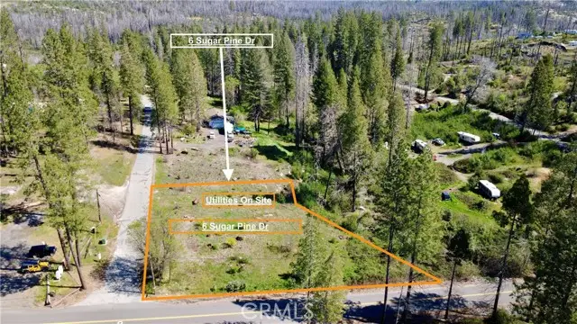 6 Sugar Pine, Berry Creek, CA 95916 - #1