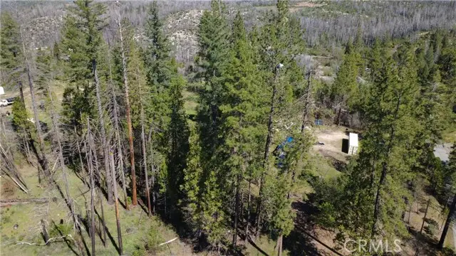 6 Sugar Pine, Berry Creek, CA 95916 - #3