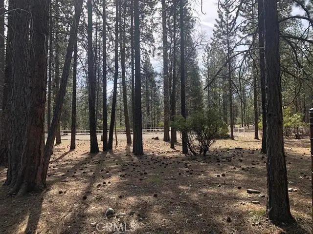 0 Red Cedar Ct, Etna, CA 96027 - #2