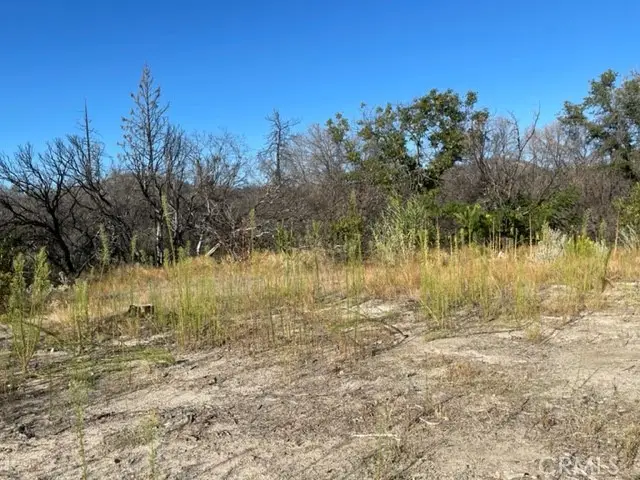 55 Cedar Tree, Oroville, CA 95966 - #1