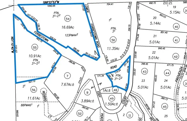 0 Lower Forbestown, Forbestown Rd. Road, Forbestown, CA 95941 - #1