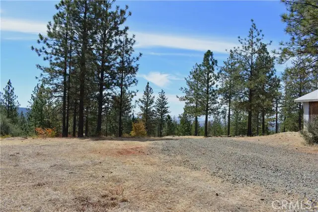 155 Black Tail Road, Oroville, CA 95966 - #3