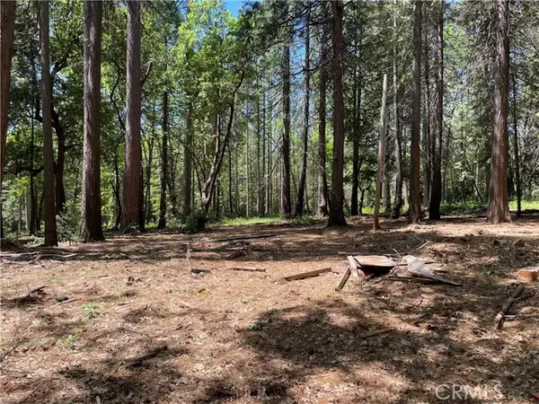 55 Buckeye, Forbestown, CA 95941