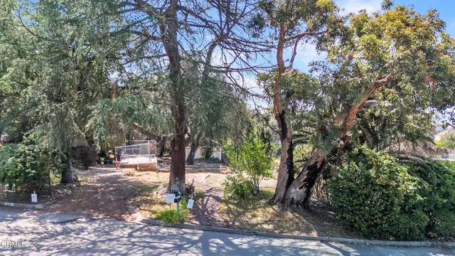 3128 Mount Curve Avenue, Altadena, CA 91001 - Image #2